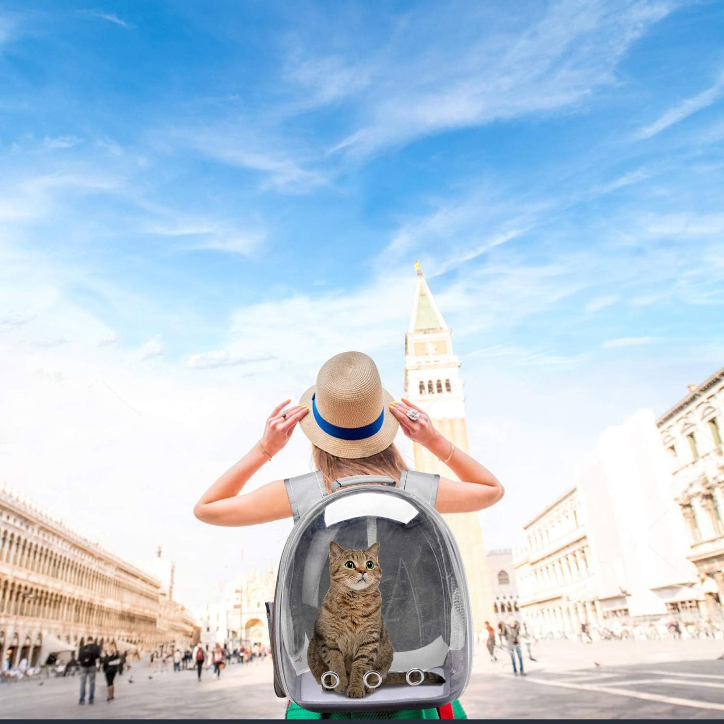 Sac de transport pour animal de compagnie